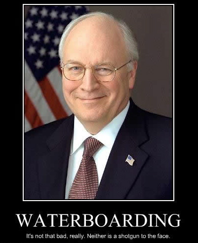 dick cheney shooting. from dick cheney nature of